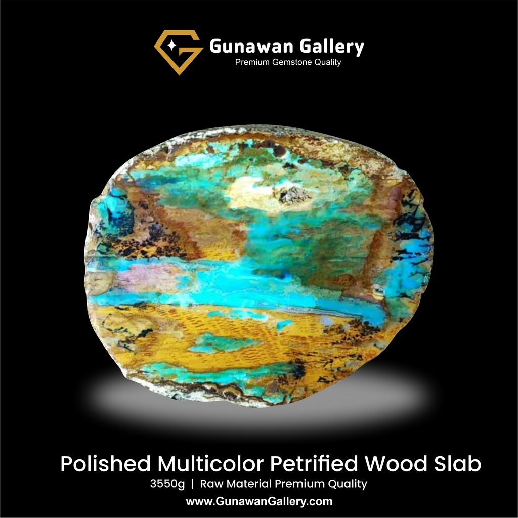 Multicolor Petrified Wood Slab