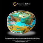 Multicolor Petrified Wood Slab