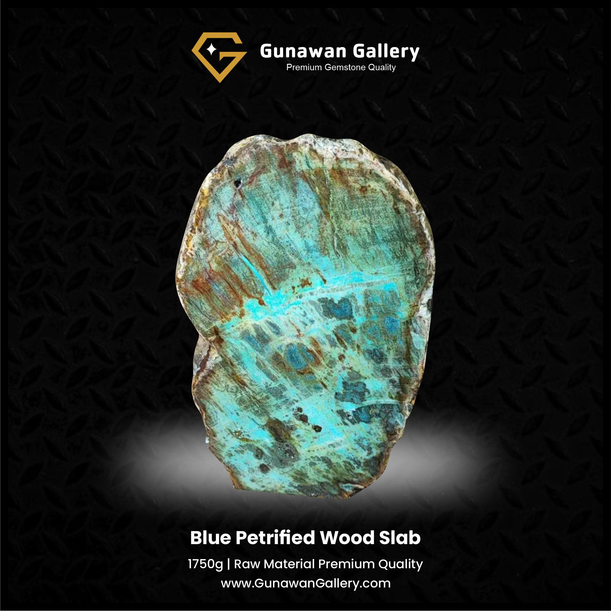 Blue Petrified Wood Slab