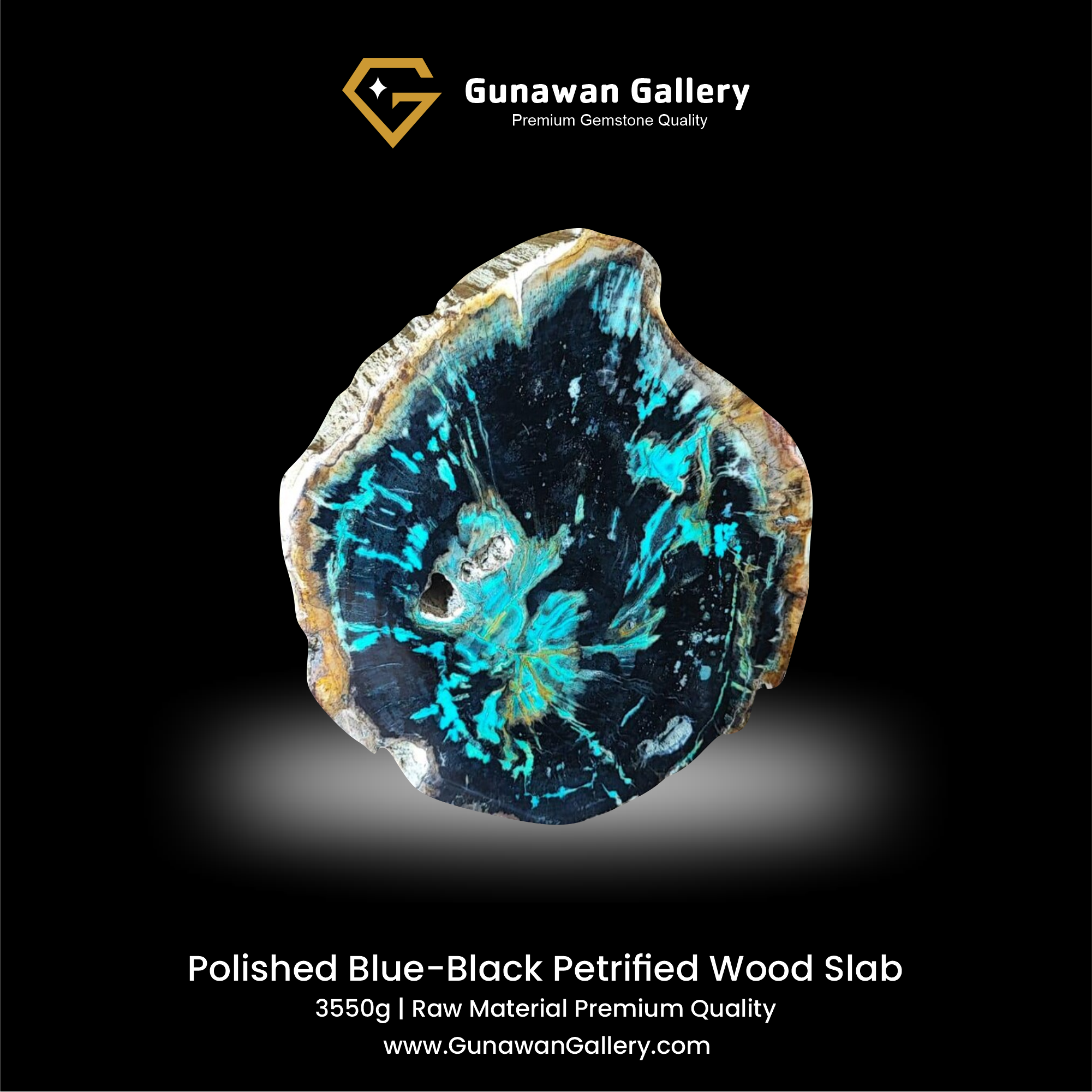 Blue-Black Petrified Wood Slab