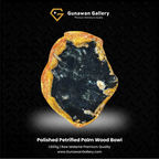 Petrified Palm Wood Bowl