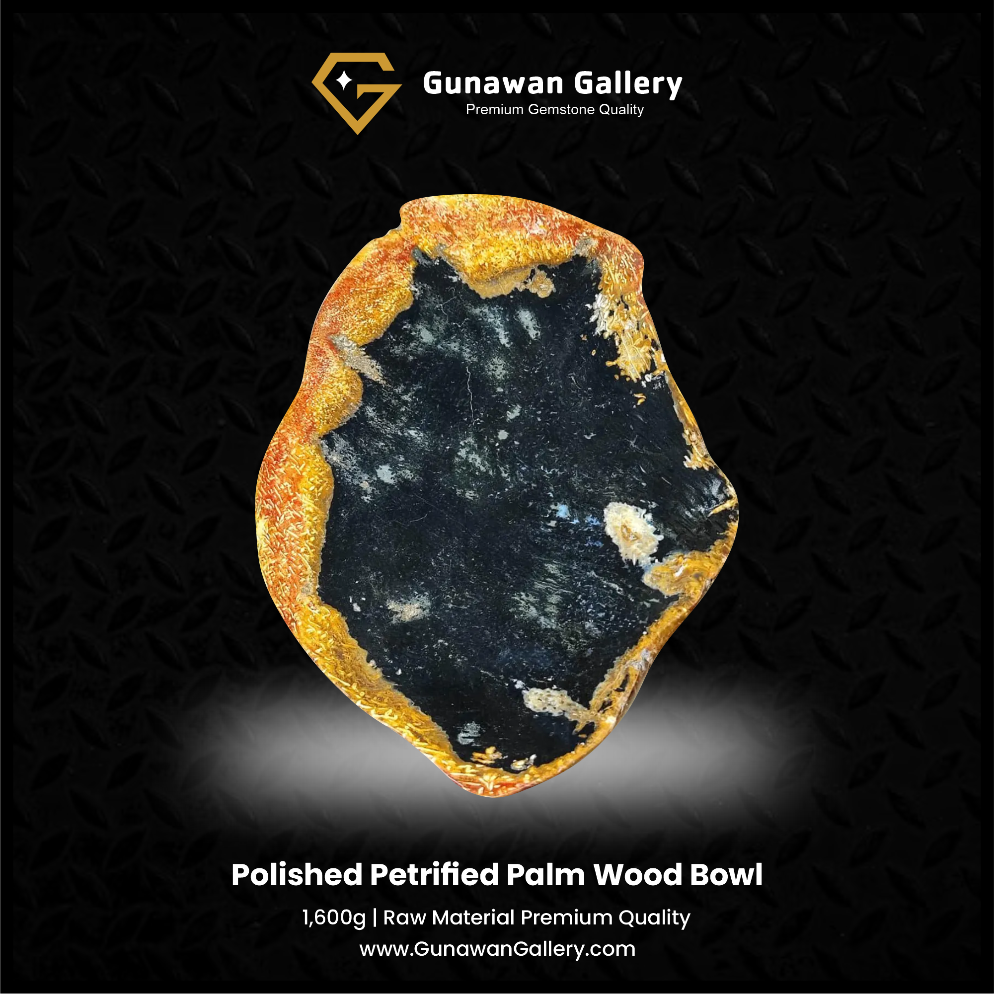 Petrified Palm Wood Bowl