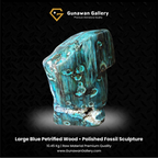 Large Blue Petrified Wood