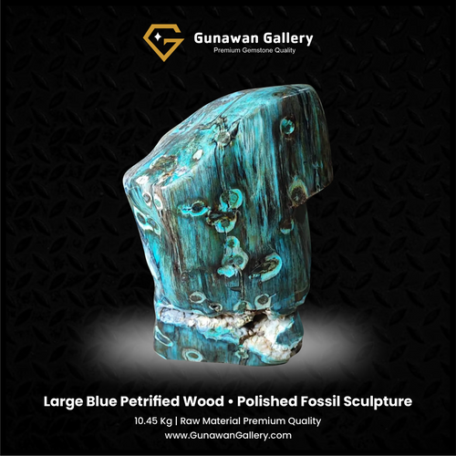 Large Blue Petrified Wood