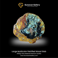 Large Multicolor Petrified Wood Slab