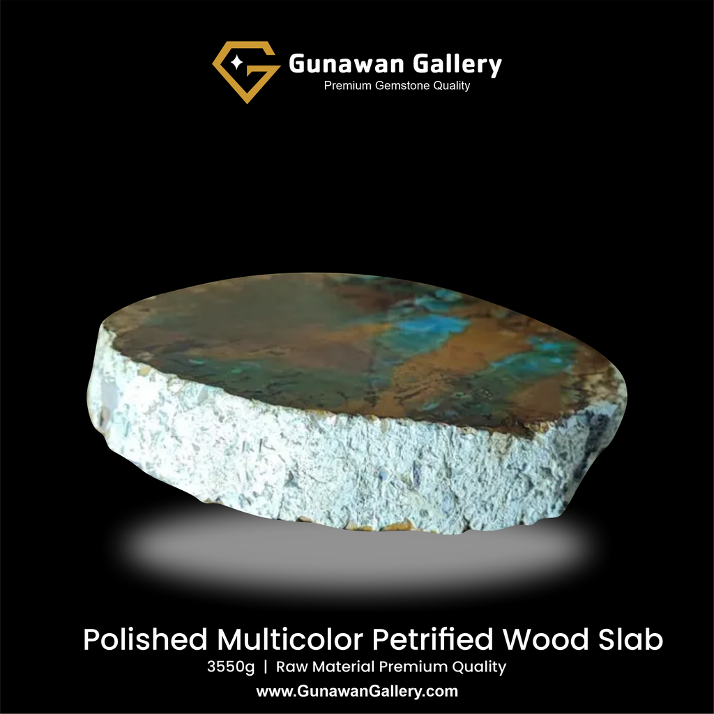 Multicolor Petrified Wood Slab