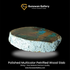 Multicolor Petrified Wood Slab