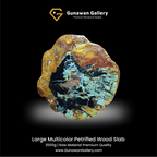 Large Multicolor Petrified Wood Slab