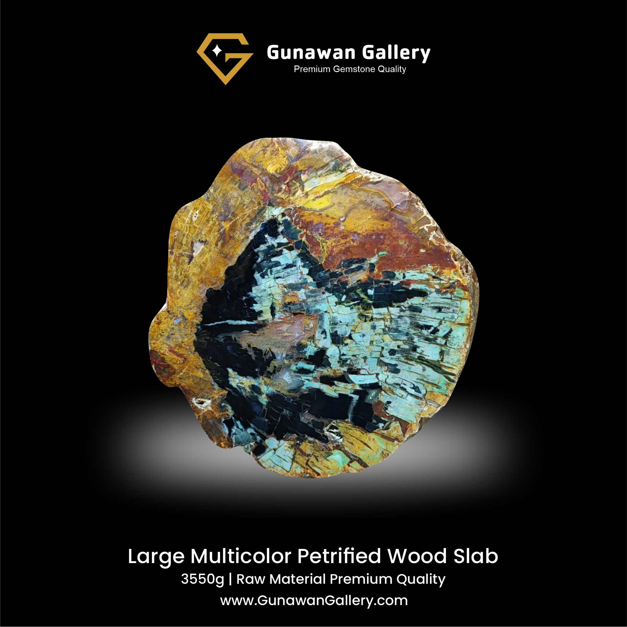 Large Multicolor Petrified Wood Slab