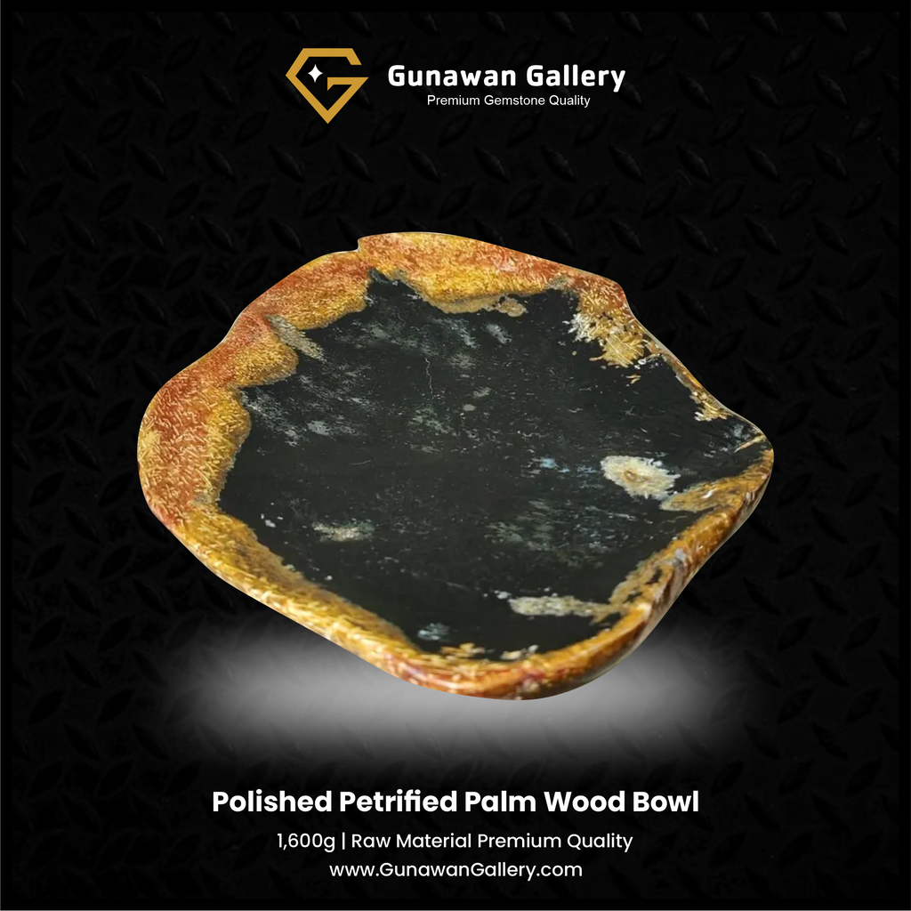 Petrified Palm Wood Bowl
