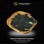 Petrified Palm Wood Bowl