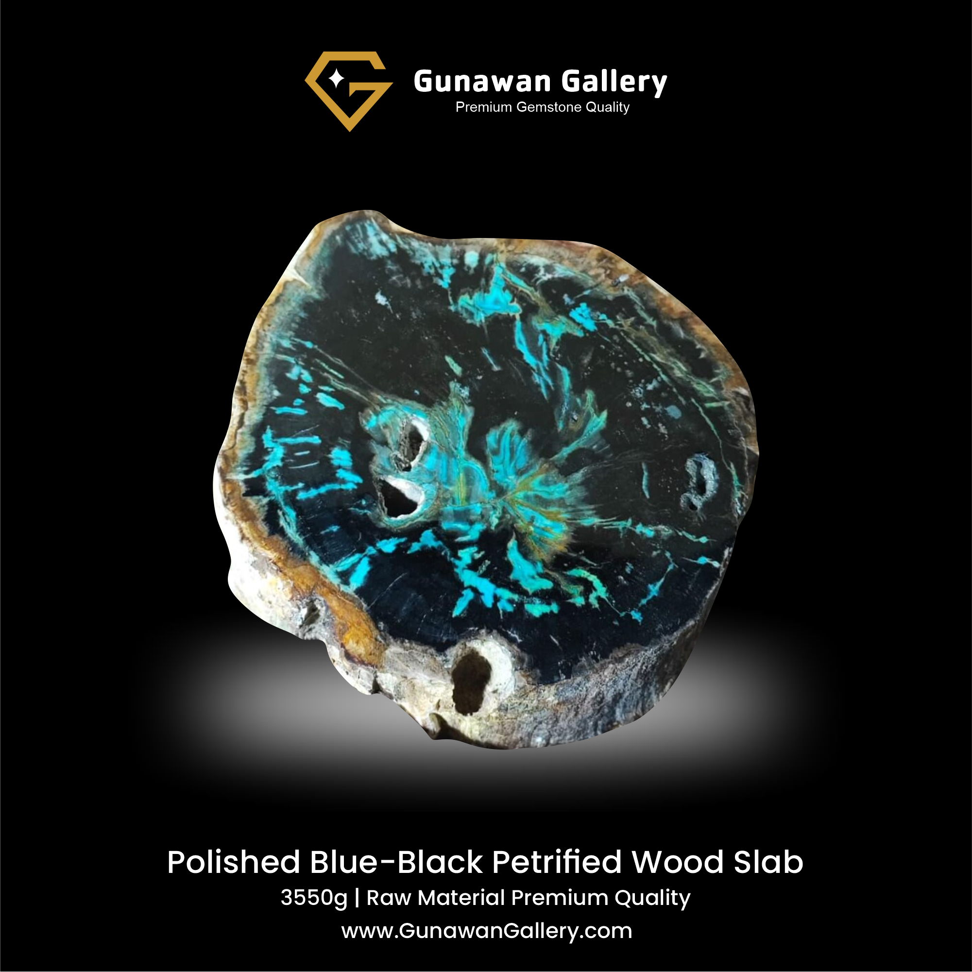 Blue-Black Petrified Wood Slab