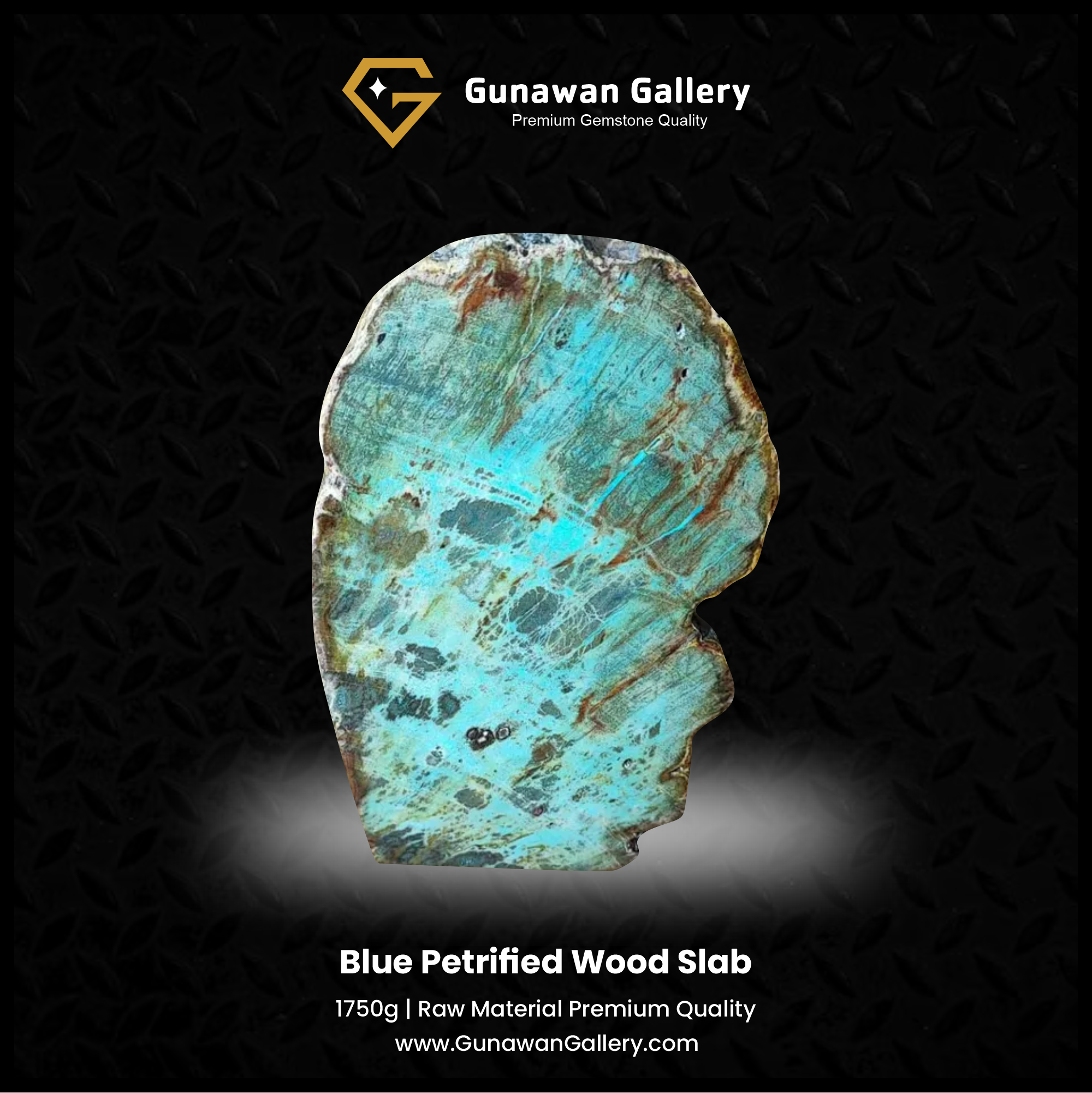 Blue Petrified Wood Slab