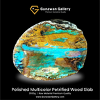 Multicolor Petrified Wood Slab
