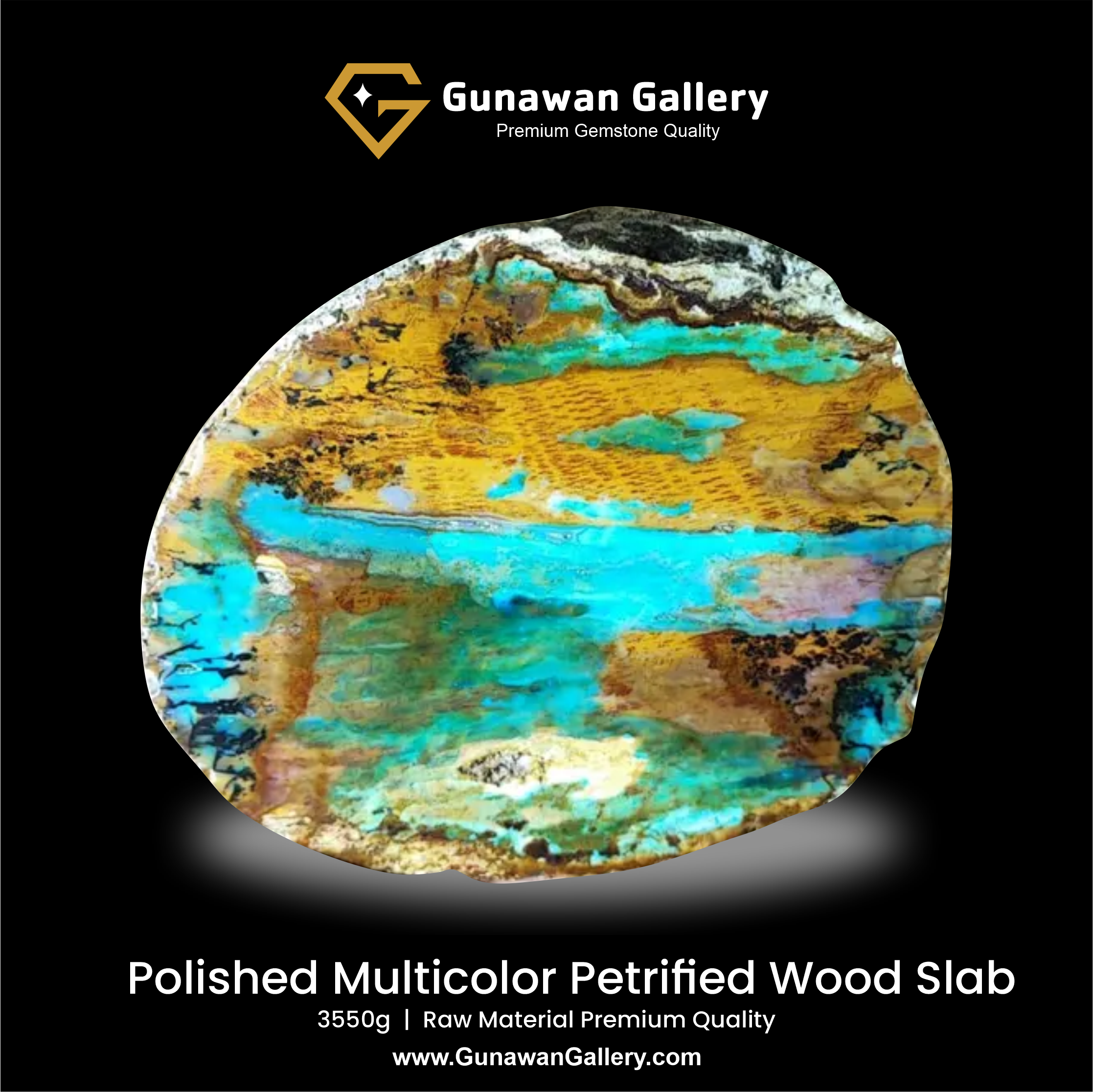 Multicolor Petrified Wood Slab