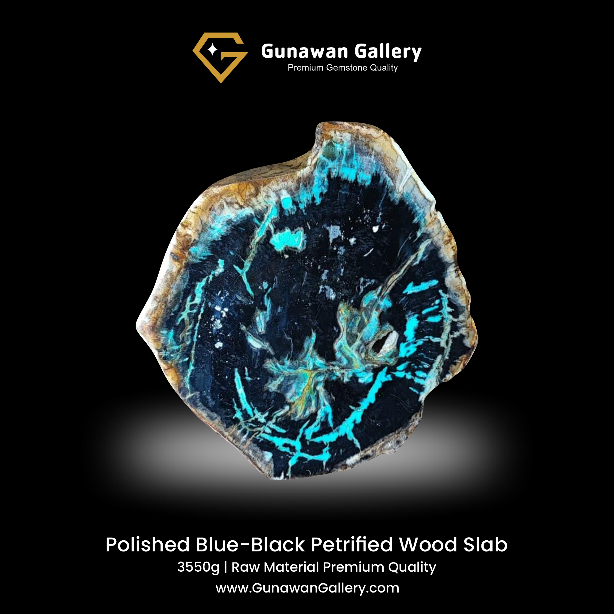 Blue-Black Petrified Wood Slab