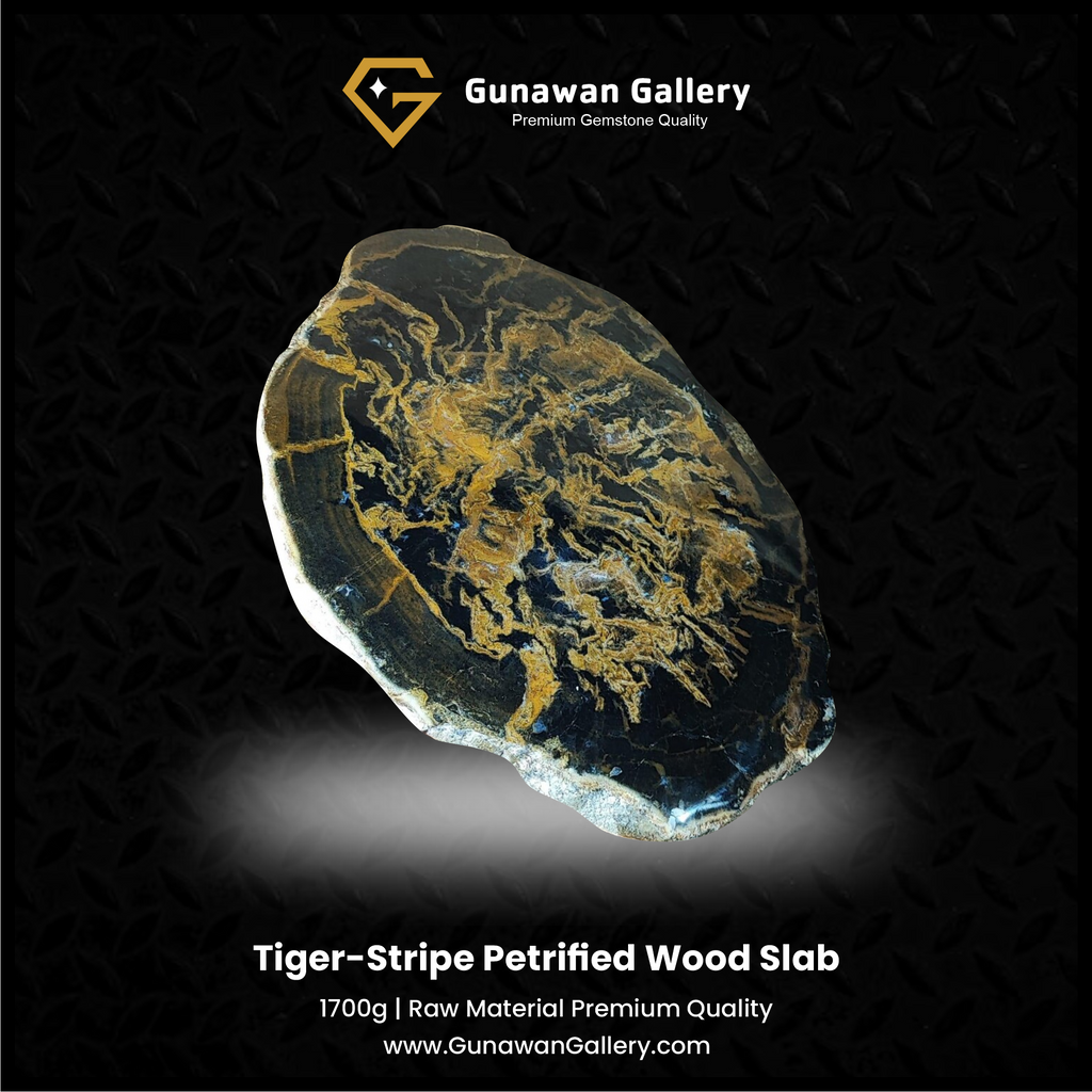 Tiger-Stripe Petrified Wood Slab