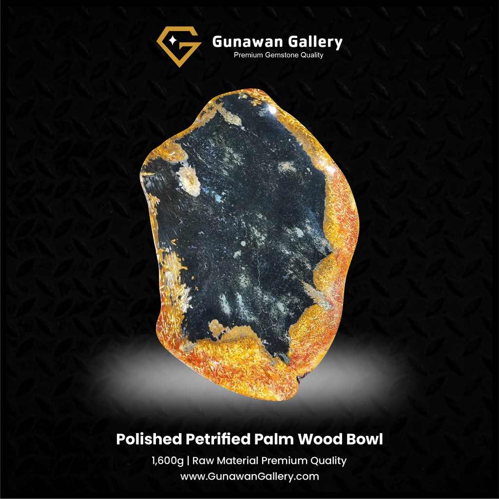 Petrified Palm Wood Bowl