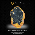 Petrified Palm Wood Bowl