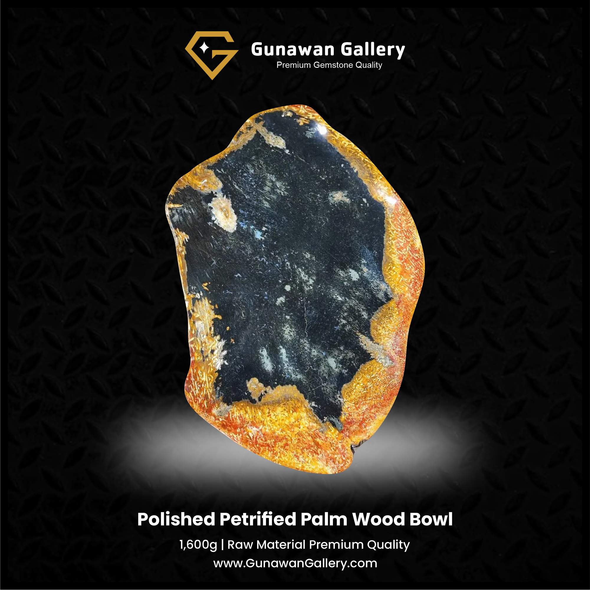 Petrified Palm Wood Bowl