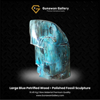 Large Blue Petrified Wood