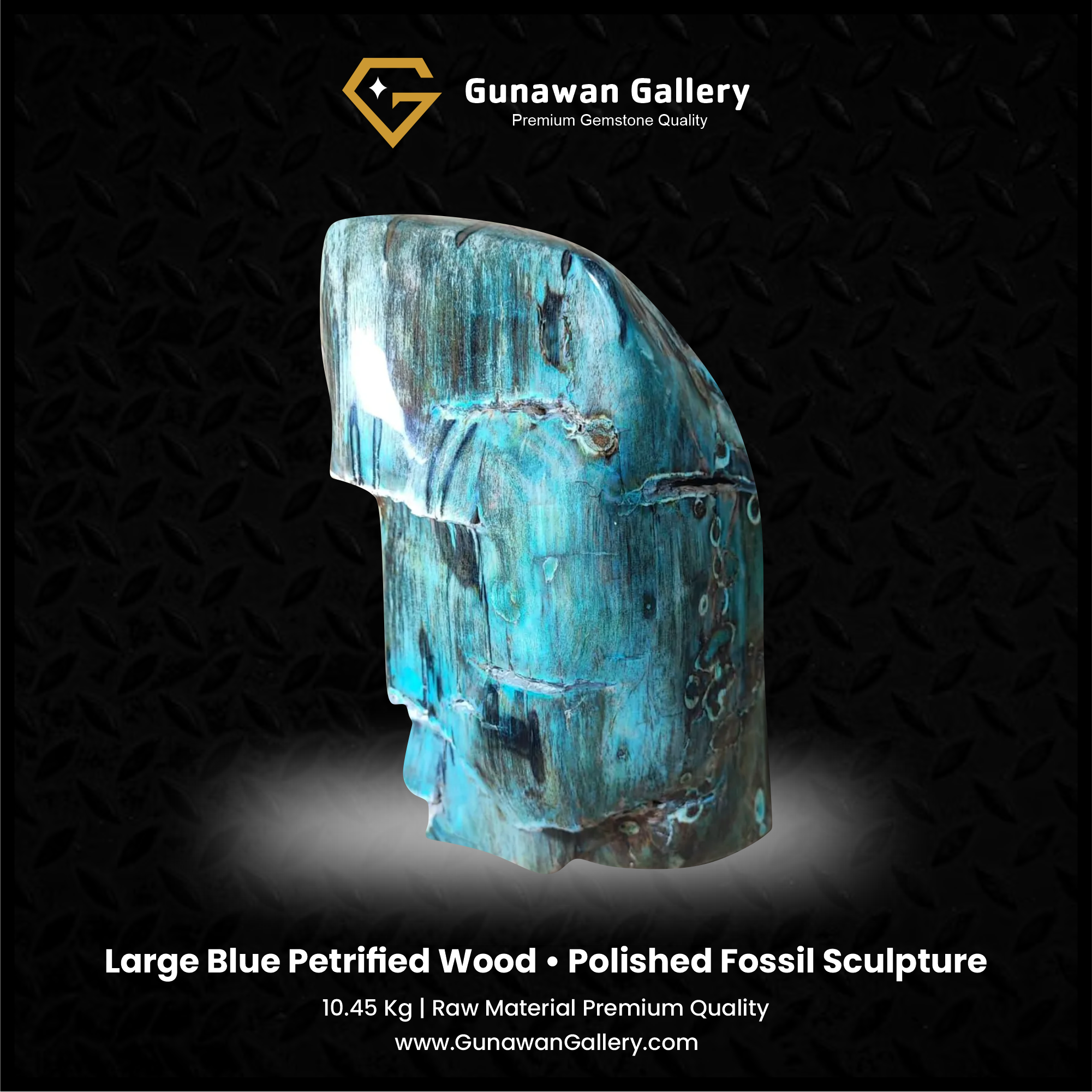 Large Blue Petrified Wood