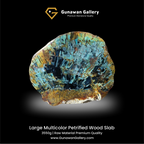 Large Multicolor Petrified Wood Slab