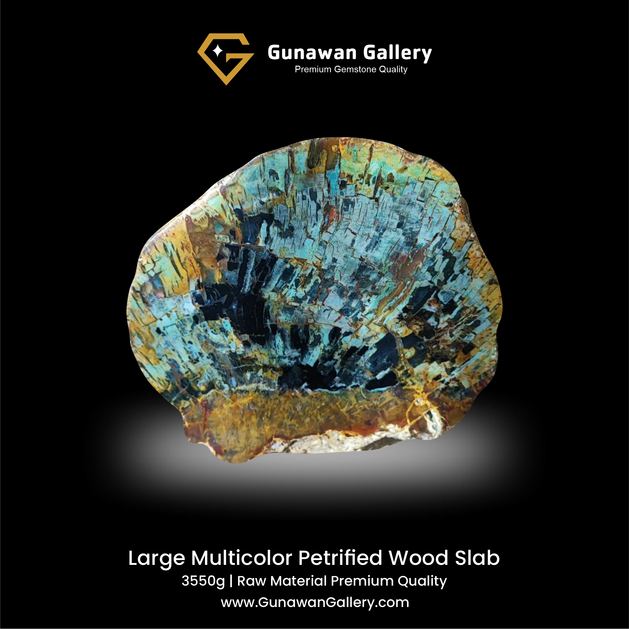 Large Multicolor Petrified Wood Slab