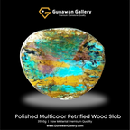 Multicolor Petrified Wood Slab