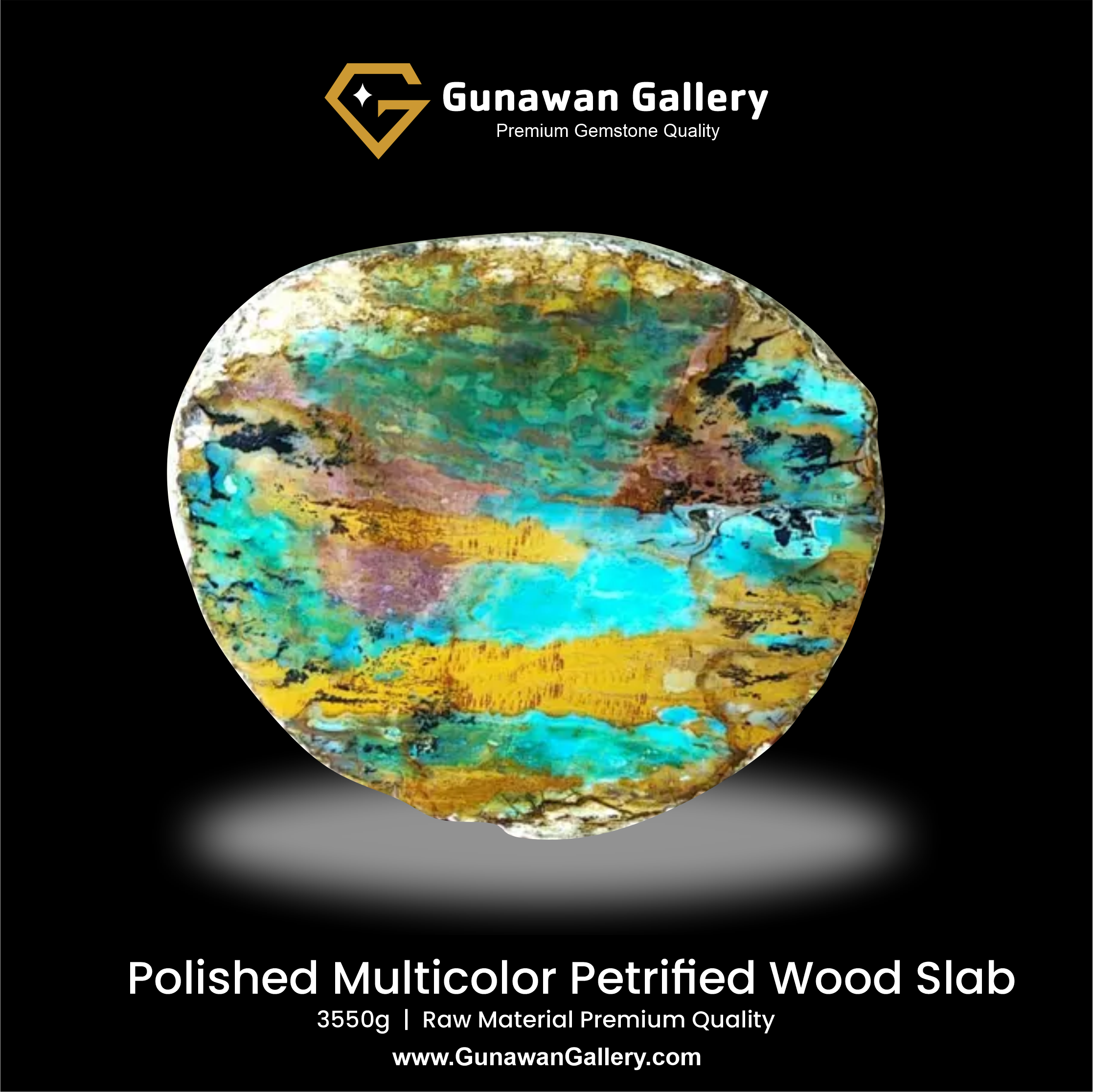 Multicolor Petrified Wood Slab