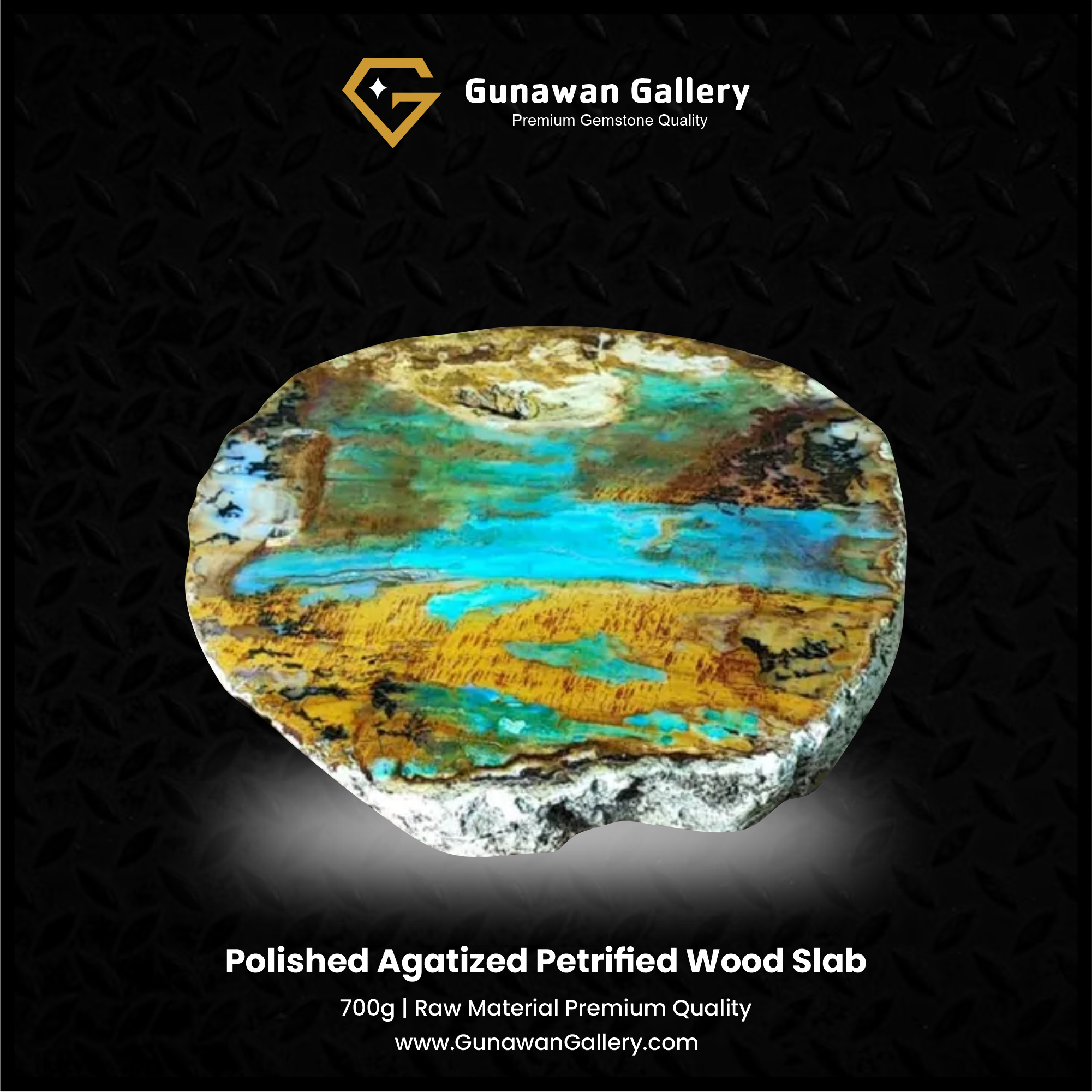 Agatized Petrified Wood Slab