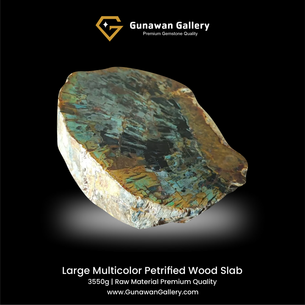 Large Multicolor Petrified Wood Slab