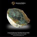 Large Multicolor Petrified Wood Slab