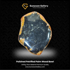 Petrified Palm Wood Bowl