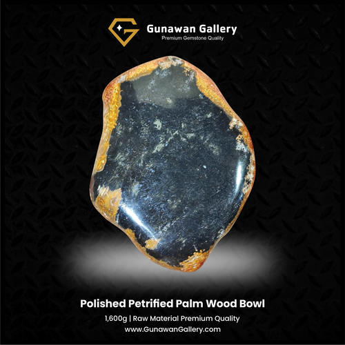 Petrified Palm Wood Bowl