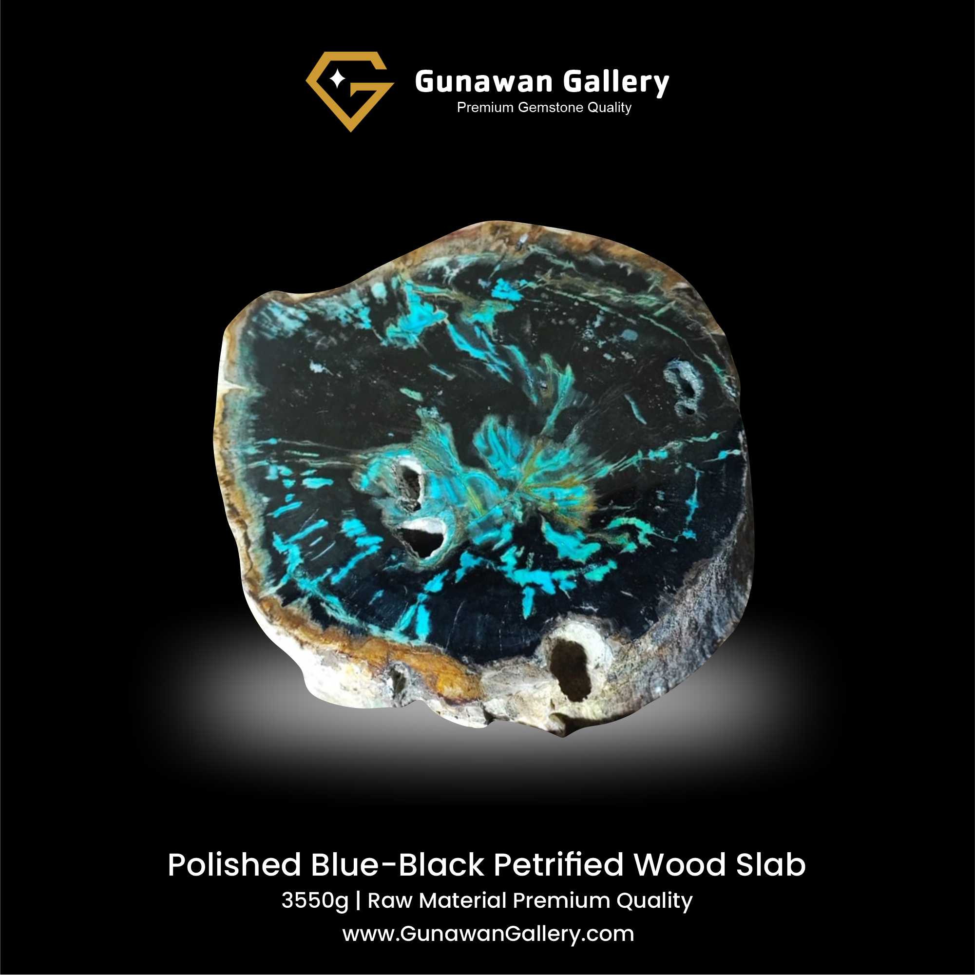 Blue-Black Petrified Wood Slab