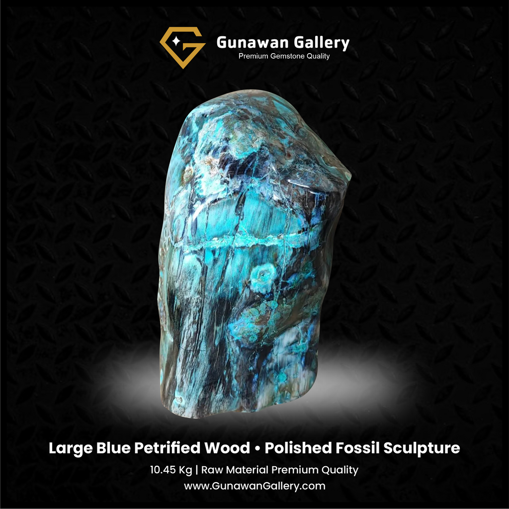 Large Blue Petrified Wood