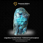 Large Blue Petrified Wood