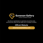 Multicolor Petrified Wood Slab