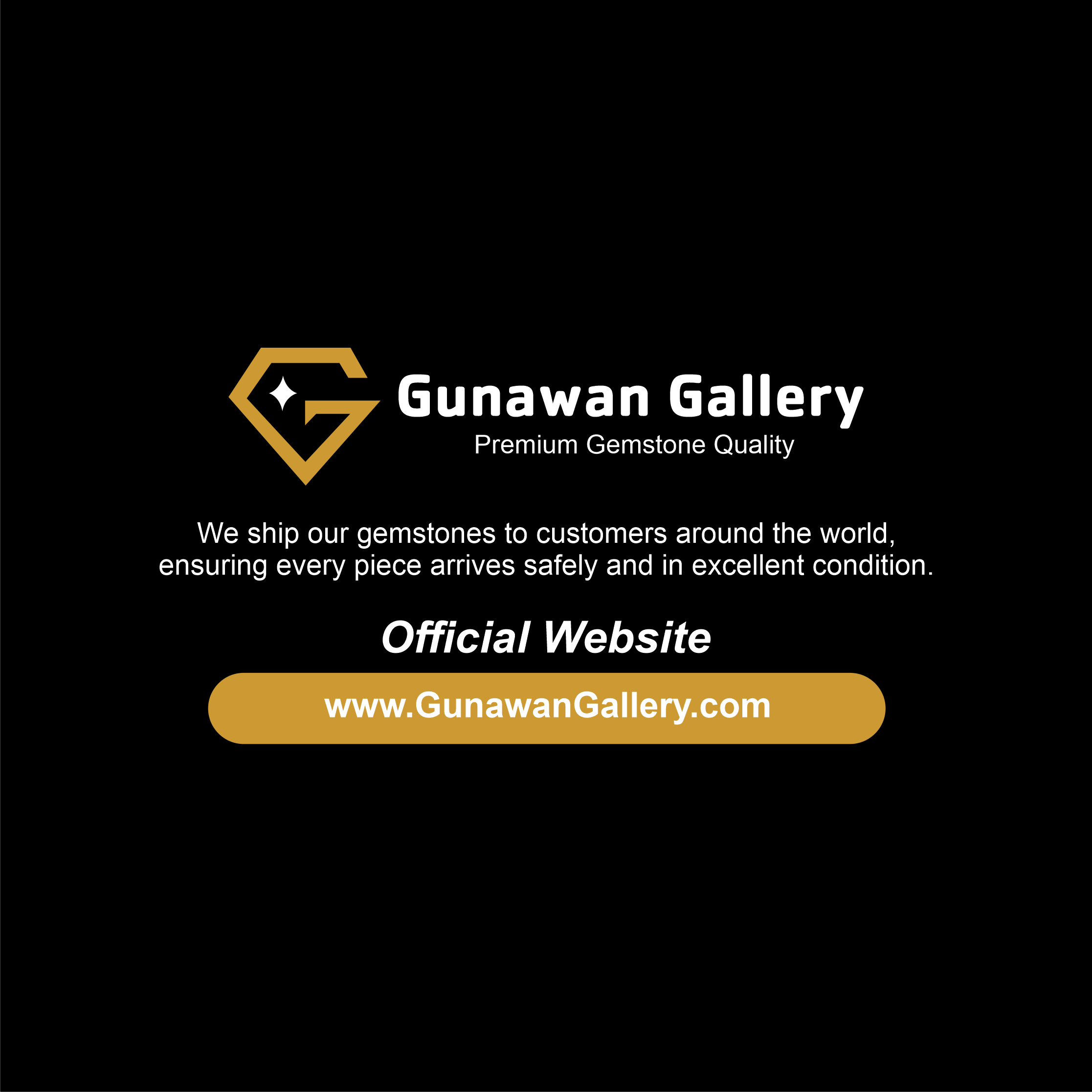 Blue-Black Petrified Wood Slab